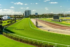 Luxury chauffeur service at Flemington Racecourse for Melbourne Cup Carnival 2025